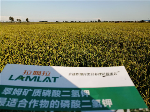 葉面肥，磷酸二氫鉀