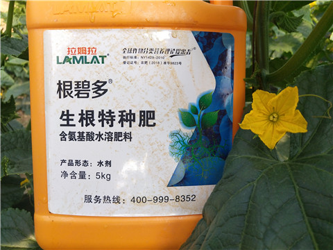 根碧多，菌劑，安碧解