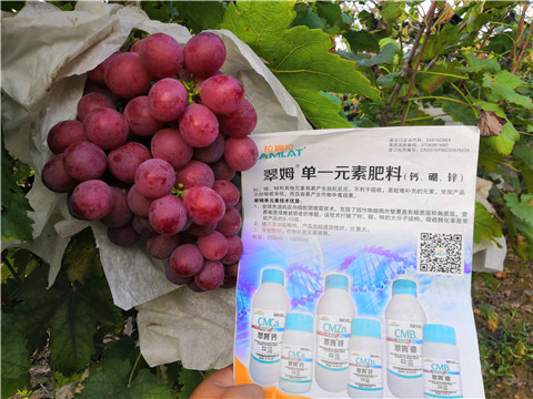 水溶肥，鈣肥，硼肥