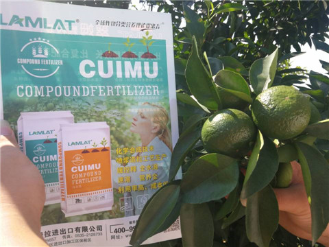 菌劑，水溶肥，