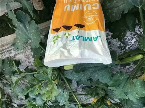 水溶肥，拉姆拉