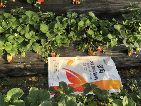 水溶肥，葉面肥，根碧多