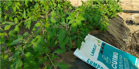 磷酸二氫鉀，鈣肥，水溶肥