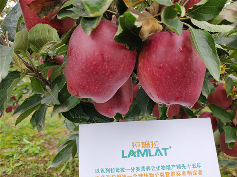 水溶肥 拉姆拉，翠姆