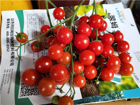 磷酸二氫鉀，鈣肥，根碧多