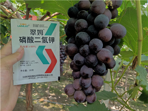 磷酸二氫鉀，葉面肥