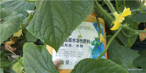 水溶肥，翠姆