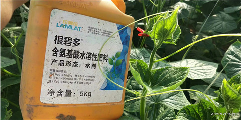 水溶肥，翠姆