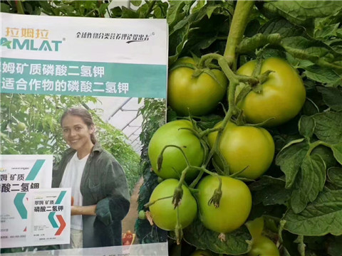 磷酸二氫鉀，鈣肥，水溶肥