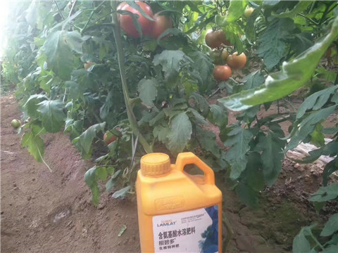 根碧多，微生物菌劑