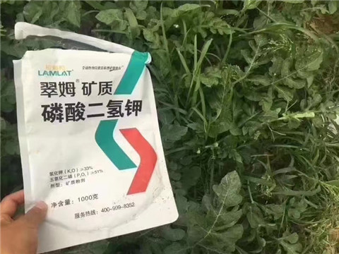 磷酸二氫鉀，硼肥，沖施肥