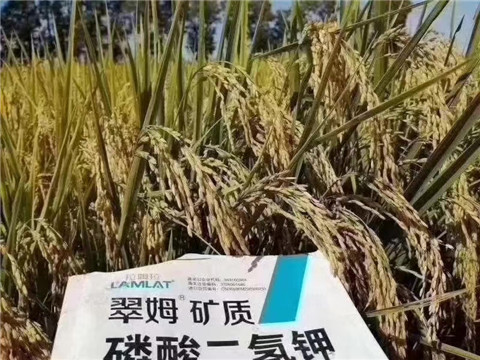 磷酸二氫鉀，翠姆