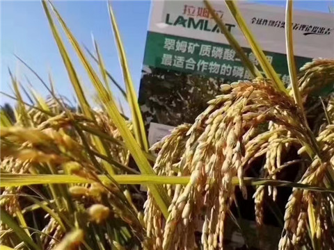 磷酸二氫鉀，翠姆