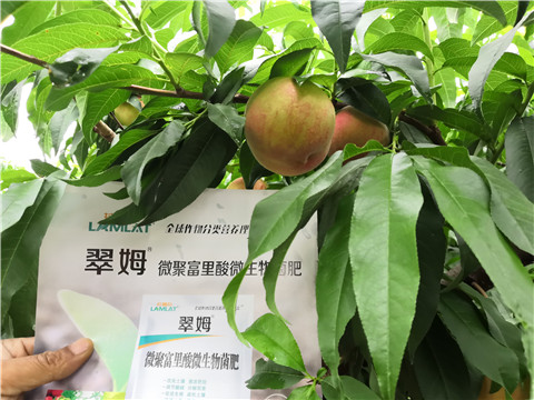 根碧多，微生物菌劑