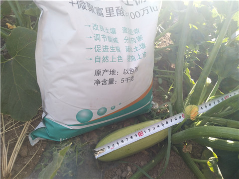 微生物菌劑，磷酸二氫鉀