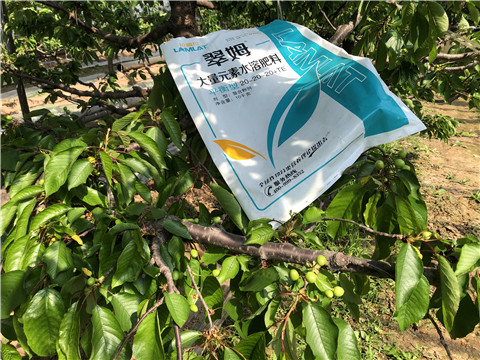 大量元素水溶肥，磷酸二氫鉀，硼肥