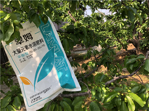 大量元素水溶肥，磷酸二氫鉀，硼肥