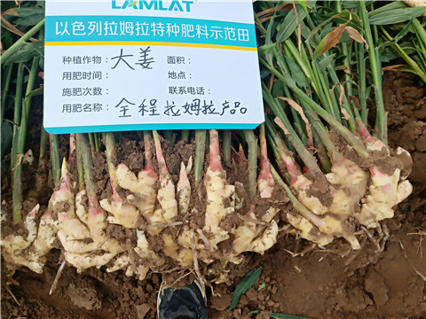 水溶肥，微生物菌劑，拉姆拉