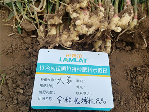 水溶肥，微生物菌劑，拉姆拉