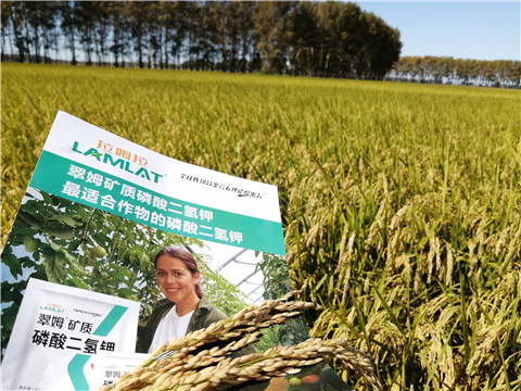 葉面肥，磷酸二氫鉀，安碧解