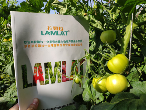 微生物菌劑，拉姆拉，伯示麥