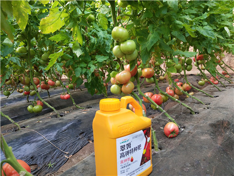 水溶肥，磷酸二氫鉀