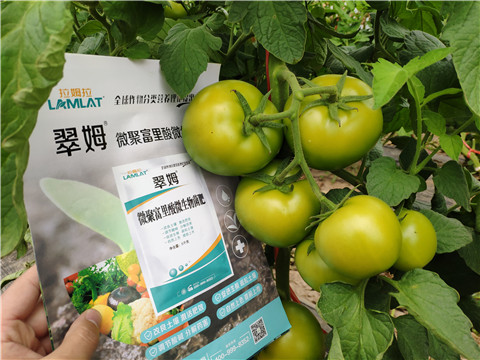 葉面肥，微生物菌劑，磷酸二氫鉀