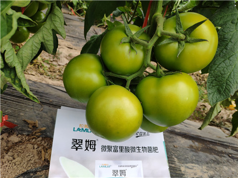 葉面肥，微生物菌劑，磷酸二氫鉀