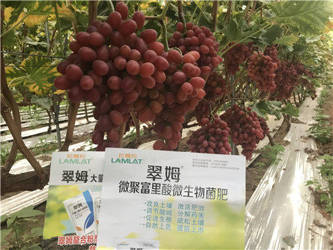 微生物菌劑，硼肥，鈣肥