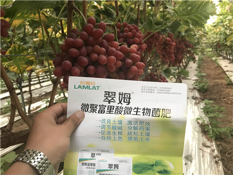 微生物菌劑，硼肥，鈣肥