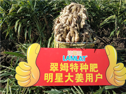 微生物菌劑，拉姆拉