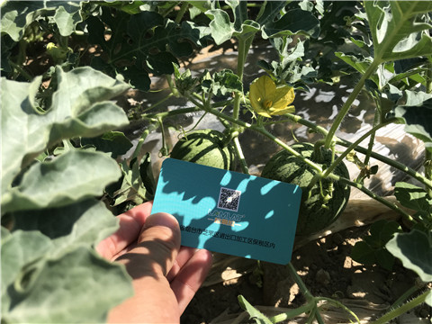 微生物菌劑，磷酸二氫鉀