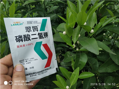 磷酸二氫鉀，硼肥，拉姆拉