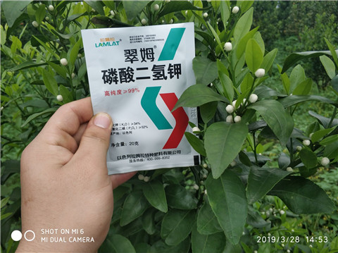 磷酸二氫鉀，硼肥，拉姆拉