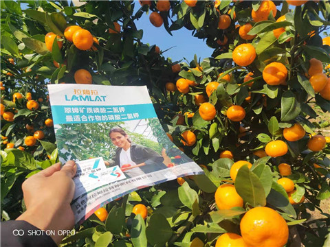 磷酸二氫鉀，硼肥，拉姆拉