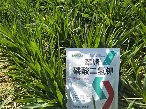 磷酸二氫鉀，葉面肥，拉姆拉