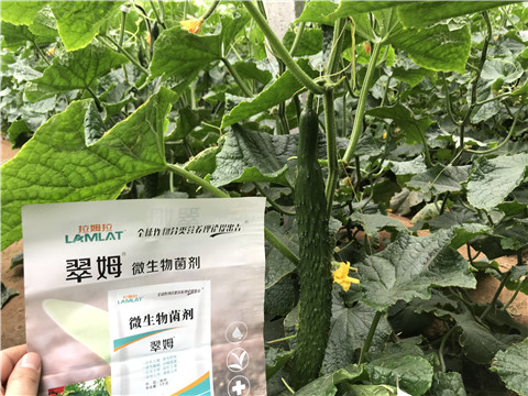 微生物菌劑，水溶肥，拉姆拉