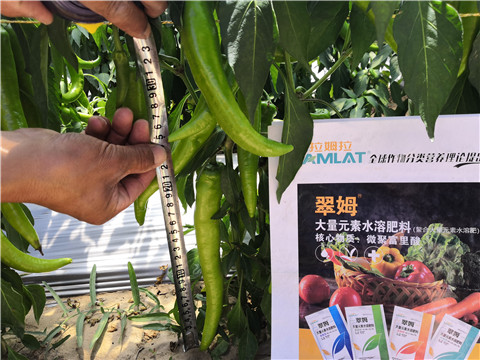 微生物菌劑，復(fù)合肥料，拉姆拉