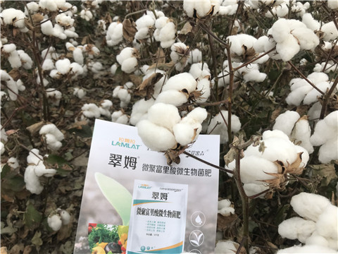 微生物菌劑，根碧多，拉姆拉