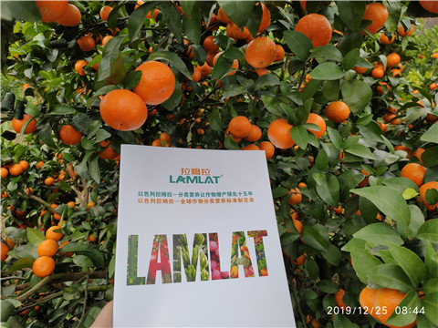 硼肥，拉姆拉