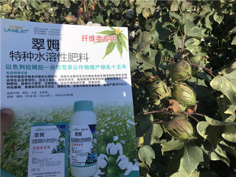 葉面肥，拉姆拉