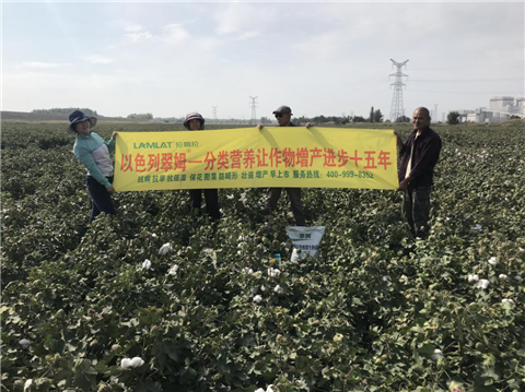 葉面肥，拉姆拉