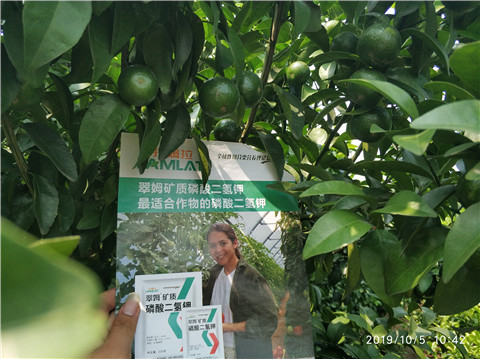 磷酸二氫鉀，拉姆拉