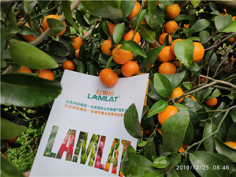 大量元素水溶肥，拉姆拉