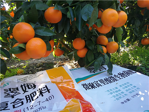 水溶肥，拉姆拉