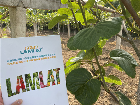 大量元素水溶肥，拉姆拉