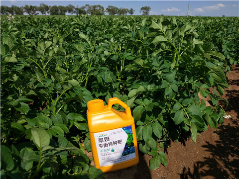 水溶肥，翠姆，拉姆拉