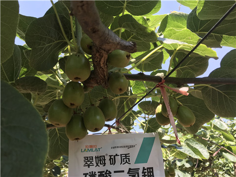 磷酸二氫鉀，拉姆拉