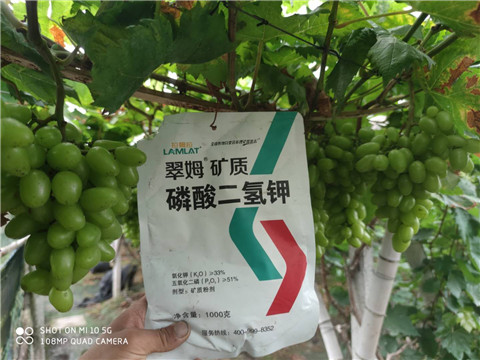 磷酸二氫鉀，拉姆拉