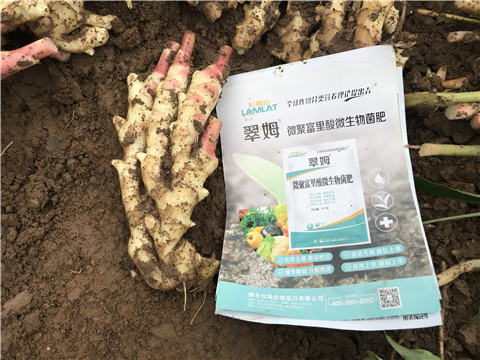 微生物菌劑，翠姆，拉姆拉